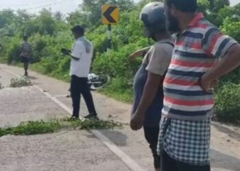 ହାଇୱା ଧକ୍କାରେ ୨ ମୃତ