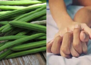 ସଜନା ଛୁଇଁ ଖାଇବା ଦ୍ୱାରା ମିଳିଥାଏ ଏହି ସବୁ ଲାଭ