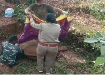 ଗାତରେ ପଡି ଛୁଆ ହାତୀ ମୃତ