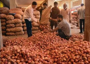 କନ୍ଦାଇଲାଣି ପିଆଜ, କେଜି ପିଛା ଦର ୫୦ ଟଙ୍କା ଉପରେ