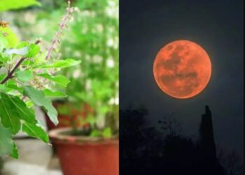 ବର୍ଷର ଶେଷ ଚନ୍ଦ୍ରଗ୍ରହଣ ଭାରତରେ ଏହି ସମୟରେ ହେବ ଦୃଶ୍ୟମାନ, ତୁଳସୀ ସହିତ ଜଡିତ ଏହି ଭୁଲ କରନ୍ତୁ ନାହିଁ