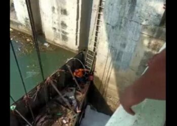 ମାଛ ଲୋଭ ନେଇଥାନ୍ତା ଜୀବନ !