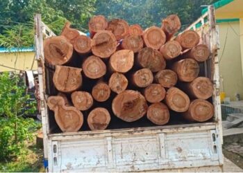 ବନବିଭାଗର ଚଢାଉ,ଶାଳକାଠ ବୋଝେଇ ପିକଅପ ଜବତ