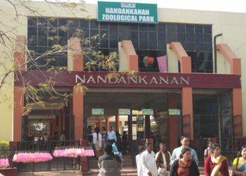 ନନ୍ଦନକାନନରେ ଆଫ୍ରିକୀୟ ସିଂହୀର ମୃତ୍ୟୁ