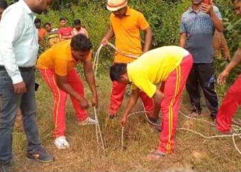 ବୋରୱେଲରେ ଖସିପଡିଲେ ୮୦ ବର୍ଷର ବୃଦ୍ଧା