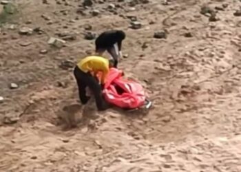 ବ୍ରିଜ ତଳୁ ଛାତ୍ରଙ୍କ ମୃତଦେହ ଉଦ୍ଧାର , ମାରି ଫିଙ୍ଗି ଦେଇଥିବା ଅଭିଯୋଗ