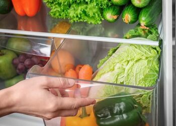 ଫ୍ରିଜରେ ରଖନ୍ତୁ ନାହିଁ ଏହି ସବୁ ଜିନିଷ, ସ୍ୱାଦ କମିବା ସହ ସ୍ୱାସ୍ଥ୍ୟ ହେବ ଖରାପ