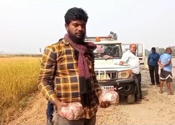 ବେଆଇନ ଗୋ ମାଂସ ଚାଲାଣ, ଜଣେ ଗିରଫ