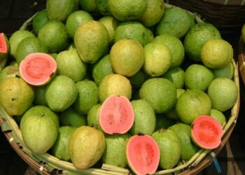 ଏହି ଲୋକ ମାନେ ପିଜୁଳି ଖାଇବା ଅନୁଚିତ୍