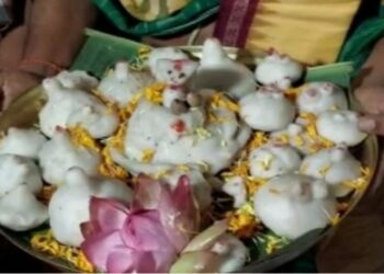 ବାବା ଧବଳେଶ୍ୱରଙ୍କ ପାଖରେ ଲାଗି ହେଲା ଗଜଭୋଗ