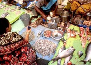 ଛାଡଖାଇରେ ଆମିଷ ବଜାର ମାନ୍ଦା