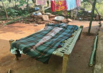 ବାପାକୁ ପିଟି ମାରିଲା ପୁଅ !