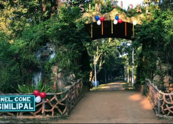 ଜିଦରେ ଅଟଳ ଆନେ୍ଦାଳନକାରୀ , ପିକନିକ ରୁତୁରେ ଶିମିଳିପାଳ ବନ୍ଦ