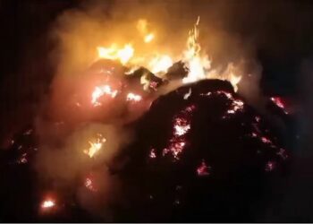 ନିଆଁ ଲାଗି ଜଳିଗଲା ଅମଳ ଧାନ