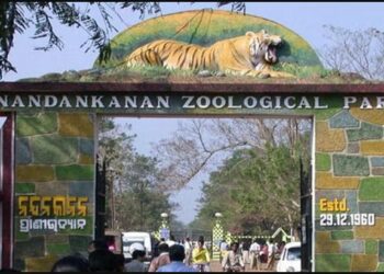 ନନ୍ଦନକାନନରେ ୪ ନୂଆ ଅତିଥି