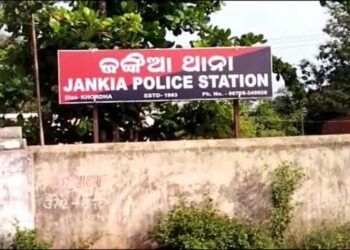 କଟା ପାପୁଲି ଜବତ, କଟା ପାପୁଲି ଧରି ବୁଲୁଥିଲା କୁକୁର