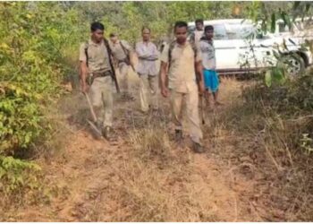 ଚିକିତ୍ସାଧୀନ ଦନ୍ତାର ମୃତ୍ୟୁ