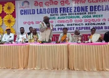 ବ୍ଲକସ୍ତରୀୟ ଶିଶୁ ଶ୍ରମିକ ମୁକ୍ତ ଅଞ୍ଚଳ କାର୍ଯ୍ୟକ୍ରମ