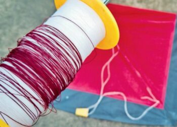 ମାଞ୍ଜା ନେଲା ୬ ଜୀବନ