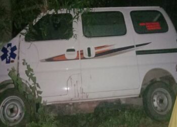 ଭାରସାମ୍ୟ ହରାଇ ଗଛକୁ ଧକ୍କା ଦେଲା ଆମ୍ବୁଲାନ୍ସ, ଦେଢ଼ବର୍ଷର ଶିଶୁ ମୃତ