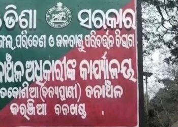 ଭାଲୁ କାମୁଡ଼ାରେ ଗୁରୁତର ବନ ସହାୟକ