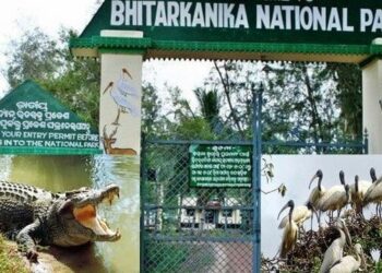 କାଲିଠୁ ଭିତରକନିକା ବନ୍ଦ