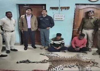 ବାଘଛାଲ ଜବତ, ୨ ଗିରଫ