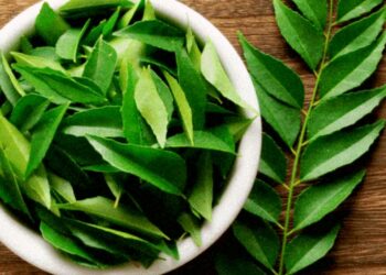 ପ୍ରତିଦିନ ଖାଦ୍ୟରେ ଅନ୍ତର୍ଭୁକ୍ତ କରନ୍ତୁ ଭୃସଙ୍ଗ ପତ୍ର , ମିଳିବ ୪ଟି ବଡ ଫାଇଦା