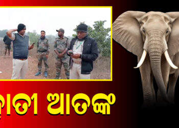 ଧର୍ମଶାଳାରେ ହାତୀ ଆତଙ୍କ