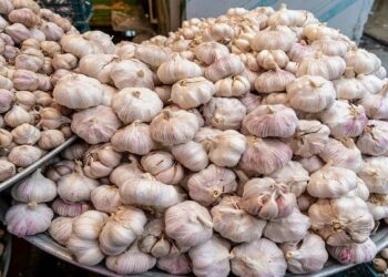 ରସୁଣ ଦର କେଜି ୫୦୦, ରୋଷେଇ ଘରୁ ଗାଏବ ରସୁଣ