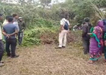 ମଣିଷ କଙ୍କାଳ ଠାବ