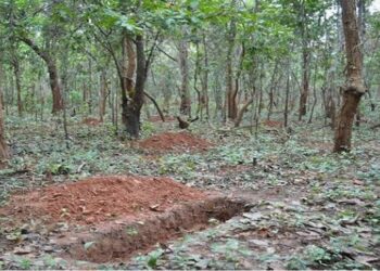 ଜଙ୍ଗଲ ଭିତରେ ପଡିଛି ବାଇକ , ରକ୍ତ ଛିଟା