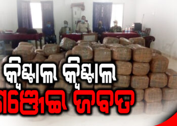 ବୈାଦ୍ଧ ପୋଲିସକୁ ସଫଳତା , କ୍ୱିଣ୍ଟାଲ କ୍ୱିଣ୍ଟାଲ ଗଞ୍ଜେଇ ଜବତ