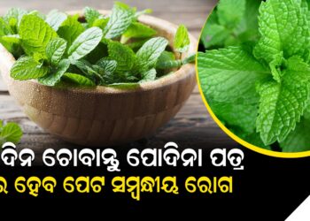 ପ୍ରତିଦିନ ଚୋବାନ୍ତୁ ପୋଦିନା ପତ୍ର , ଦୂର ହେବ ପେଟ ସମ୍ବନ୍ଧୀୟ ରୋଗ