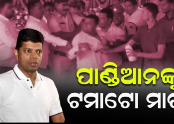 ପାଣ୍ଡିଆନଙ୍କୁ ଟମାଟୋ ମାଡ !