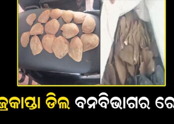 ବଜ୍ରକାପ୍ତା ଡିଲ ବନବିଭାଗର ରେଡ୍, ୬ ଗିରଫ