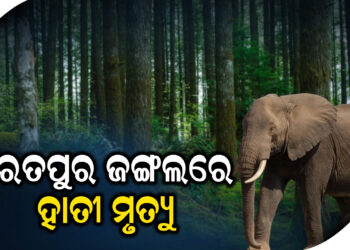 ଭରତପୁର ଜଙ୍ଗଲରେ ହାତୀ ମୃତ୍ୟୁ