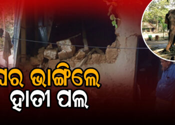 ଘର ଭାଙ୍ଗିଲେ ହାତୀ ପଲ