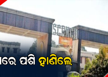 ଘରେ ପଶି ହାଣିଲେ