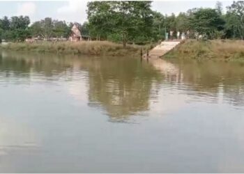 ଦୟାନଦୀରୁ କଙ୍କାଳ ଉଦ୍ଧାର