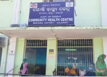 ମହୁମାଛି ଆକ୍ରମଣରେ ୧୪ ଆହତ
