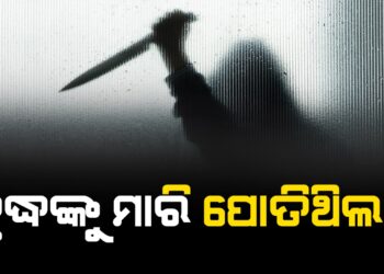 ବୃଦ୍ଧଙ୍କୁ ମାରି ପୋତିଥିଲା !
