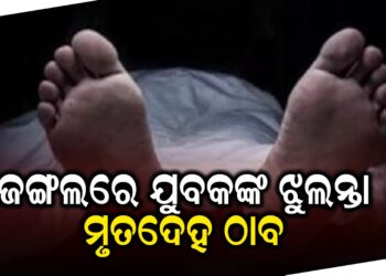 ଜଙ୍ଗଲରେ ଯୁବକଙ୍କ ଝୁଲନ୍ତା ମୃତଦେହ ଠାବ