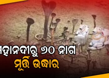 ମହାନଦୀରୁ ୬୦ ନାଗ ମୂର୍ତ୍ତି ଉଦ୍ଧାର