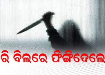 ମାରି ବିଲରେ ଫିଙ୍ଗିଦେଲେ !