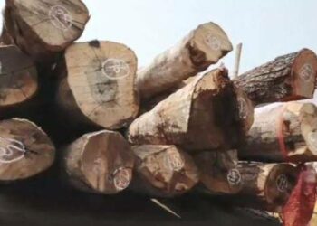 ପୁରୀରେ ପହଁଚିଲା ତୃତୀୟ ପର୍ଯ୍ୟାୟ ରଥକାଠ