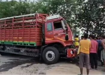 ଟ୍ରକରେ ଚାପି ହୋଇଗଲେ ବାପା, ୩ ପୁଅ
