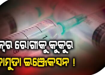 ଜ୍ୱର ରୋଗୀକୁ କୁକୁର କାମୁଡା ଇଞ୍ଜେକସନ !