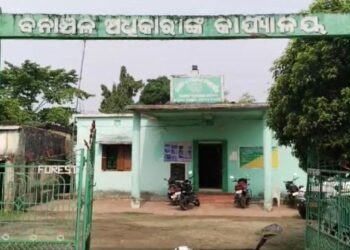 ଜଙ୍ଗଲ ଭିତରେ ଥିବା ଖାଲରେ ପଡି ଚାଲିଗଲା ଗର୍ଭବତୀ ହାତୀର ଜୀବନ