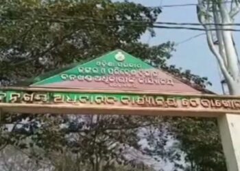 ବାଘ ଆକ୍ରମଣରେ ଜଣେ ମୃତ !